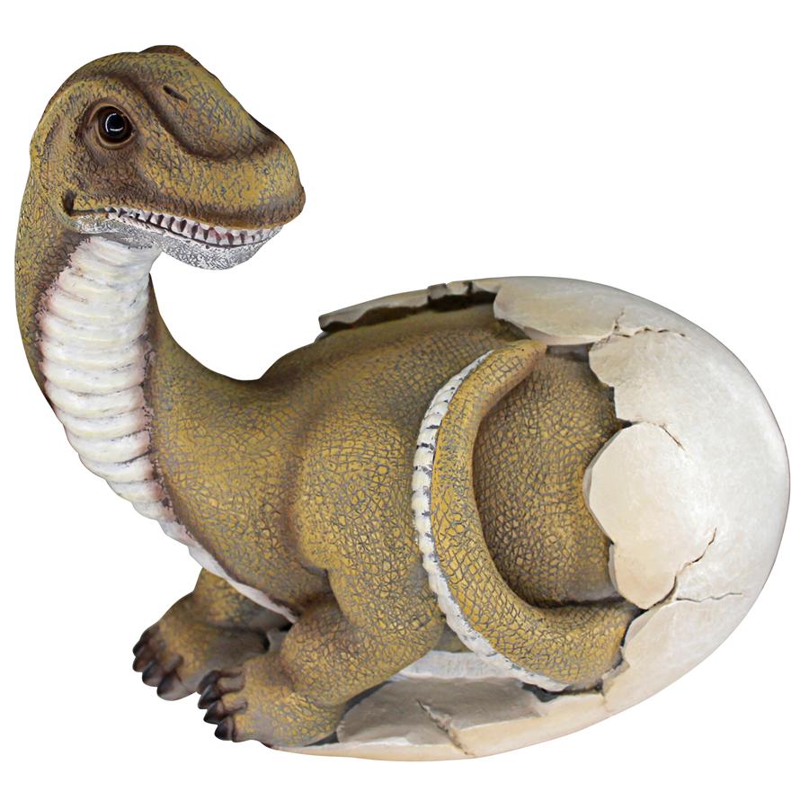 Baby Brachiosaurus Dinosaur Egg Hatchling Statue