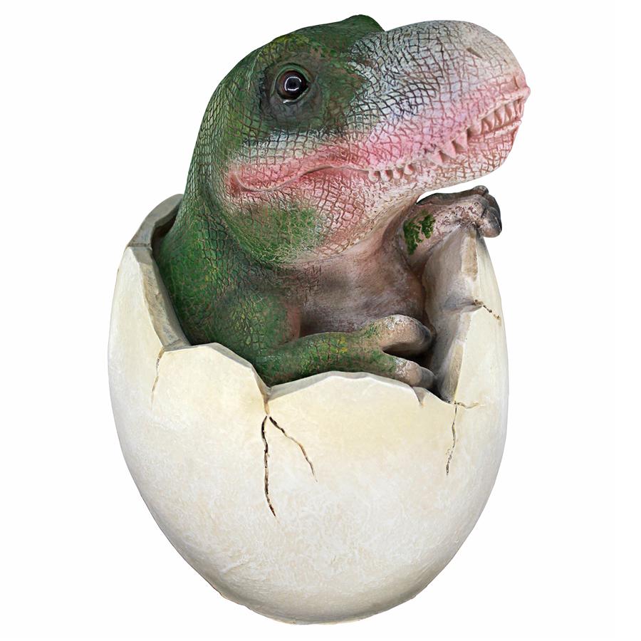 Baby Tyrannosaurus Rex Dinosaur Egg Hatchling Statue