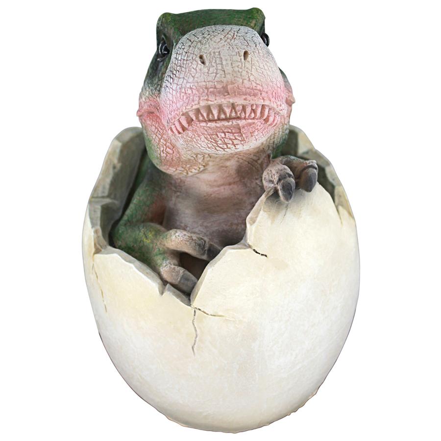 Baby Tyrannosaurus Rex Dinosaur Egg Hatchling Statue