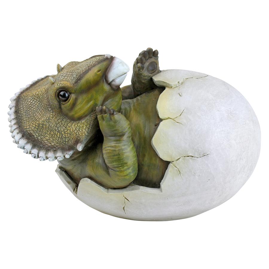 Baby Triceratops Dinosaur Egg Hatchling Statue