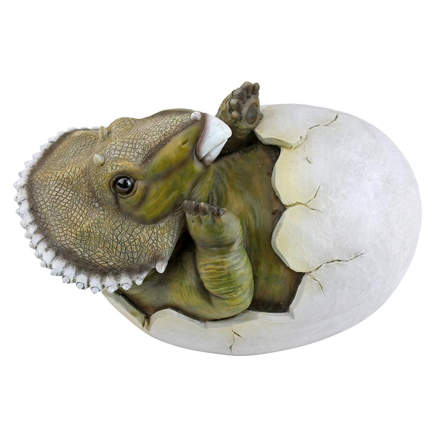 Baby Triceratops Dinosaur Egg Hatchling Statue