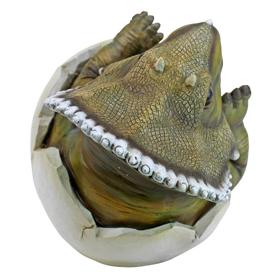 Baby Triceratops Dinosaur Egg Hatchling Statue