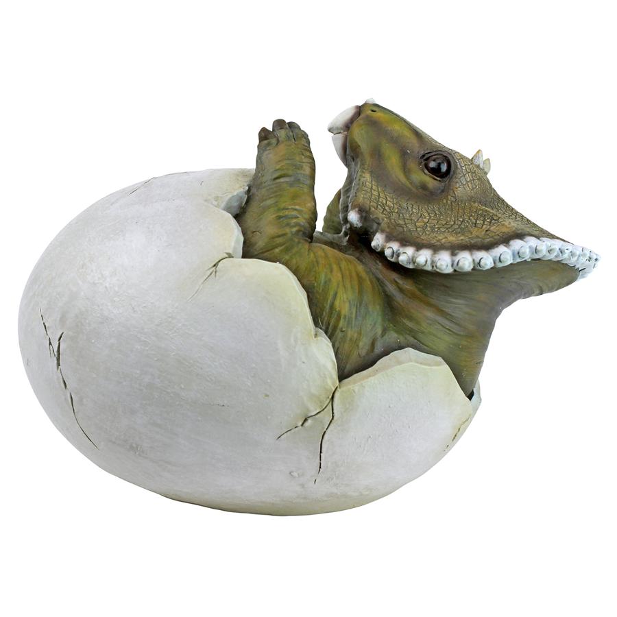 Baby Triceratops Dinosaur Egg Hatchling Statue