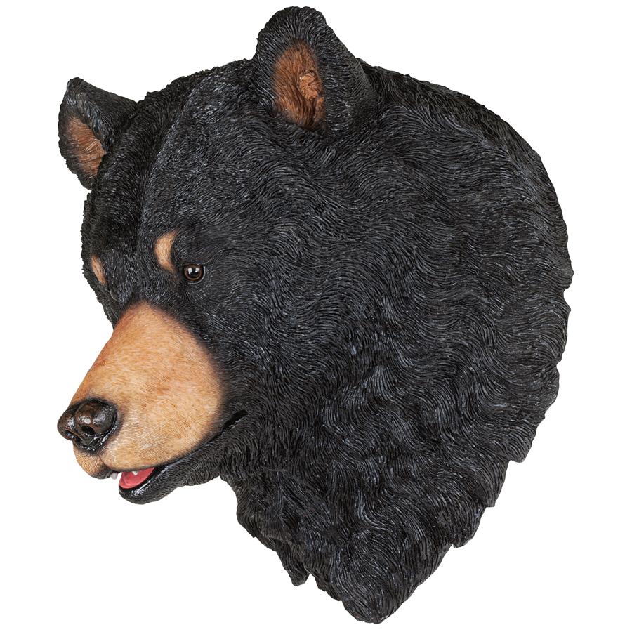 American Black Bear Sculptural Wall Trophy