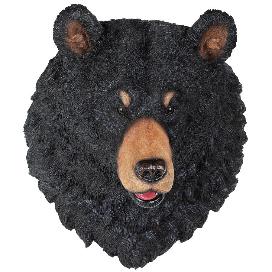 American Black Bear Sculptural Wall Trophy