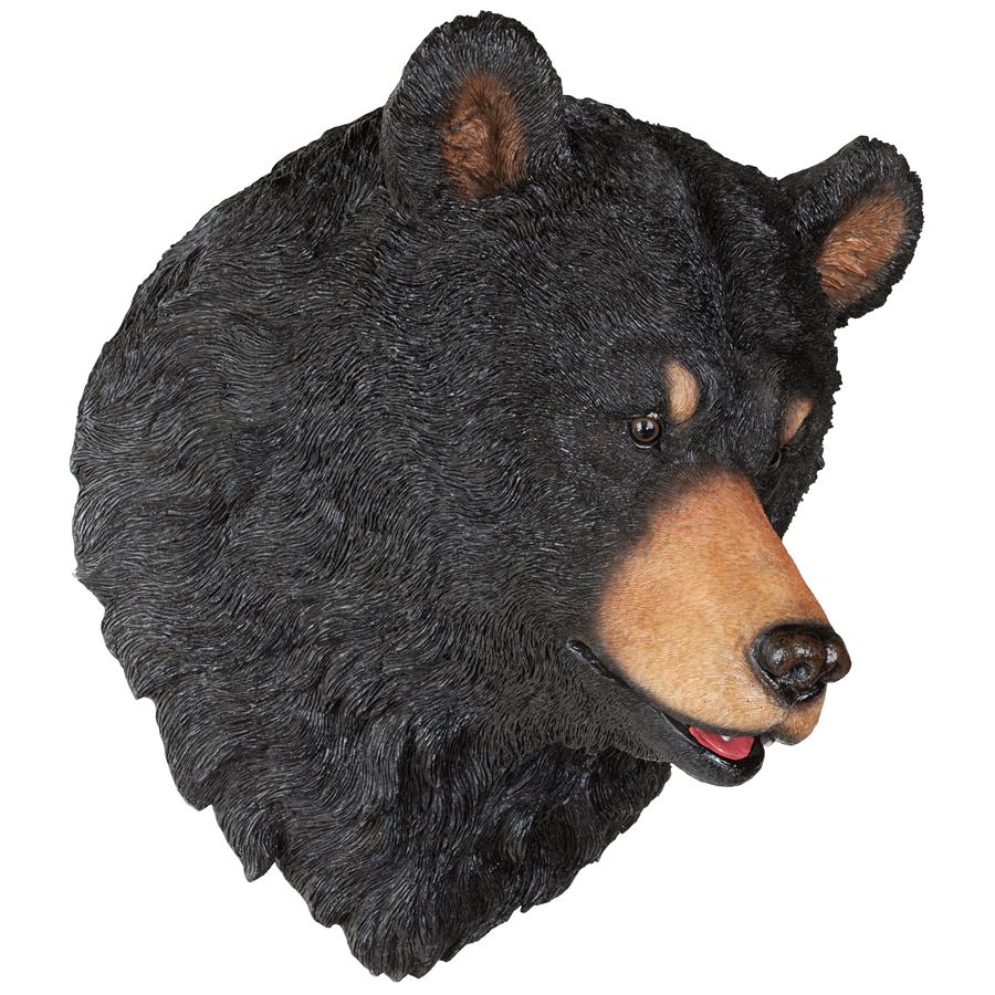 American Black Bear Sculptural Wall Trophy