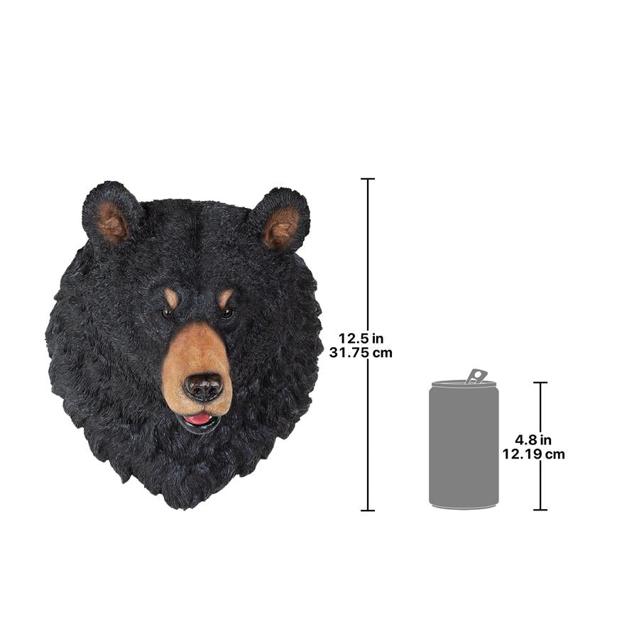 American Black Bear Sculptural Wall Trophy