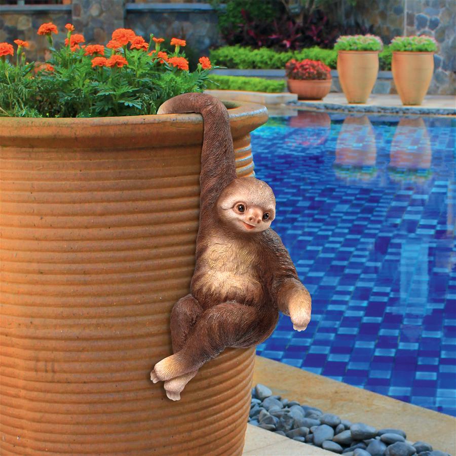 Sinbad the 3-Toed Sloth Hanging Statue