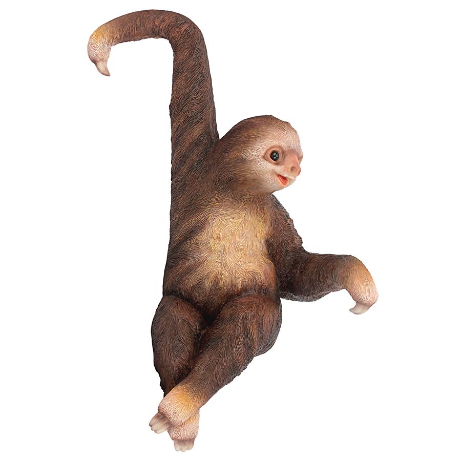 Sinbad the 3-Toed Sloth Hanging Statue