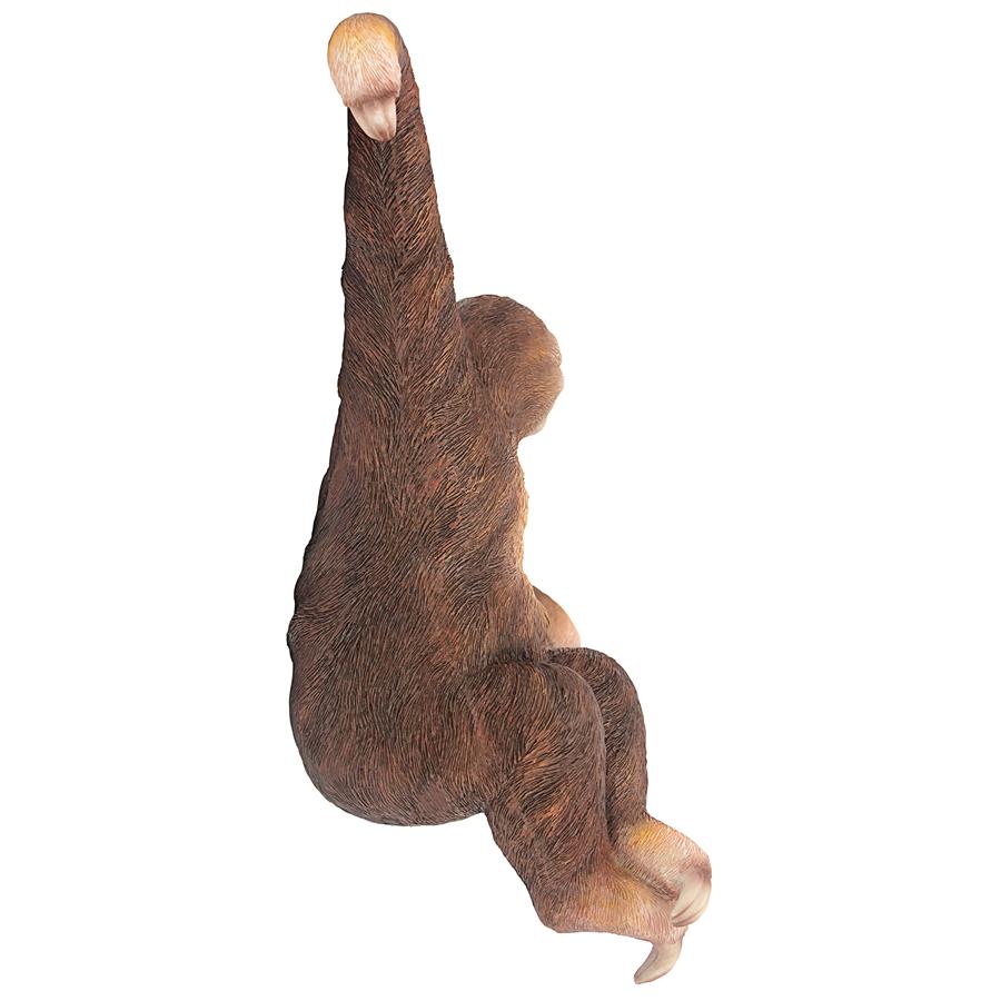 Sinbad the 3-Toed Sloth Hanging Statue