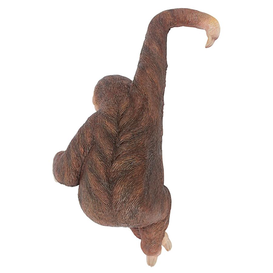 Sinbad the 3-Toed Sloth Hanging Statue