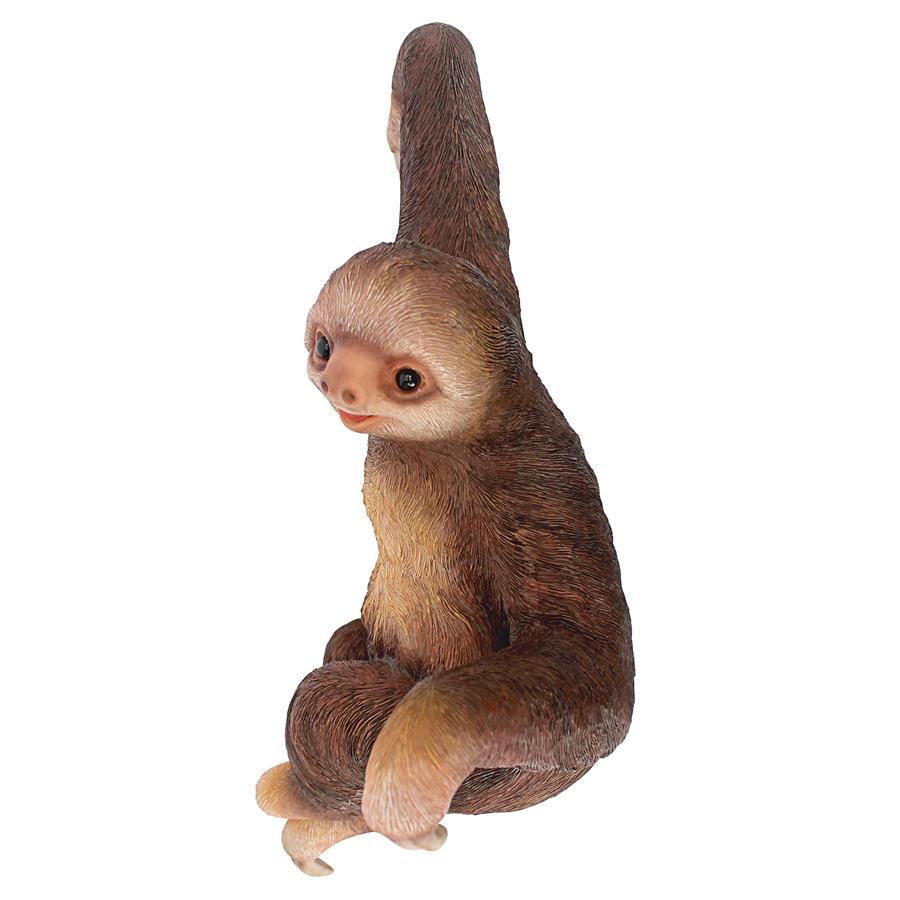 Sinbad the 3-Toed Sloth Hanging Statue