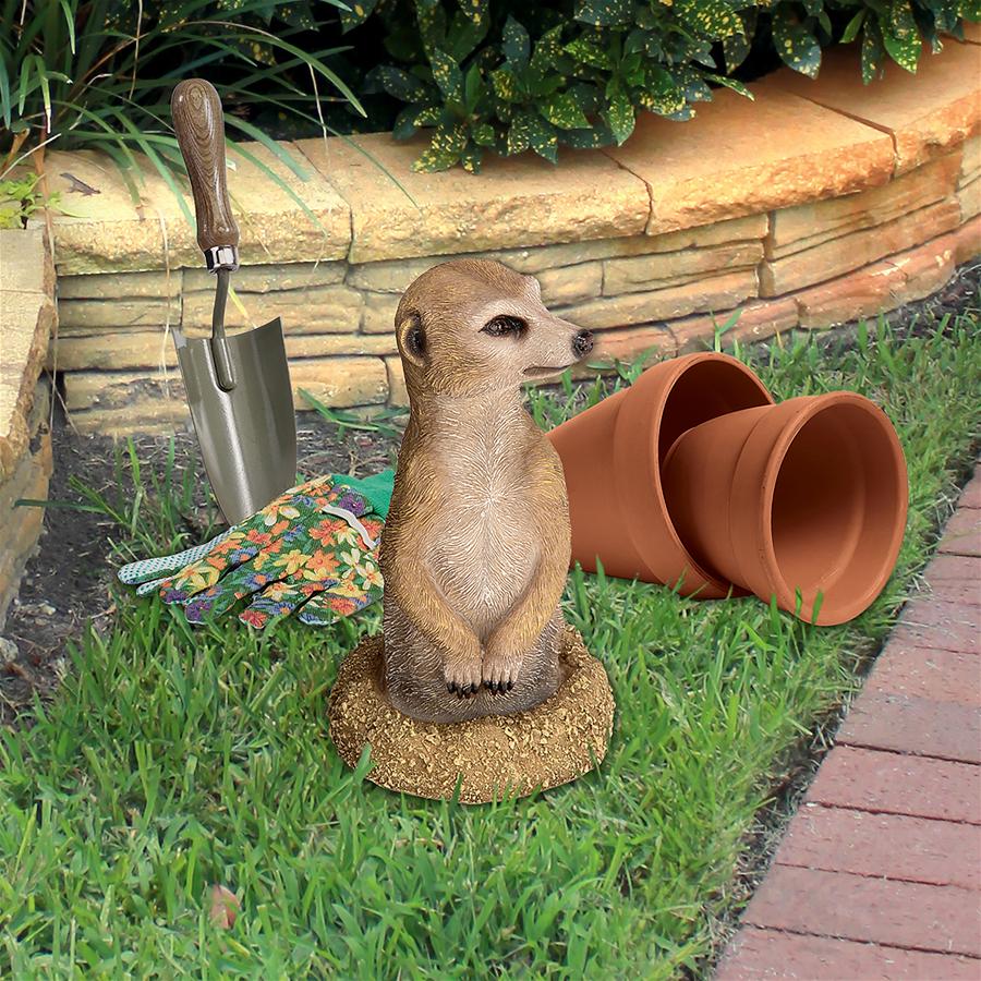 Hole in One African Meerkat Garden Statue: Each