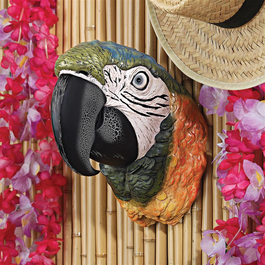 Paradise Parrot Head Bird Wall Sculpture