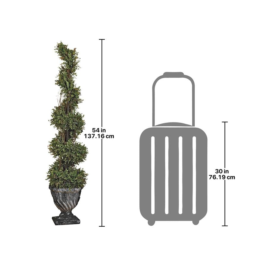 Spiral Topiary Tree Collection: Large