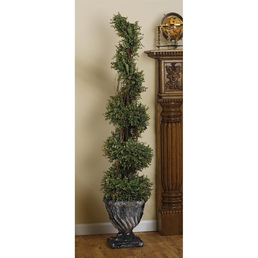 Spiral Topiary Tree Collection: Small